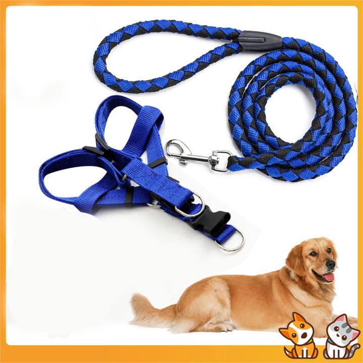 Durable Nylon Dog Leash For Training Walking Lead For Small & Medium Dogs Blue Heavy Duty Rope