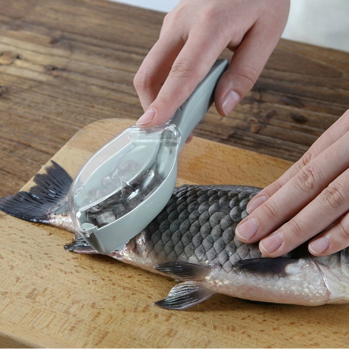 Durable Plastic Fish Scale Remover Scraper